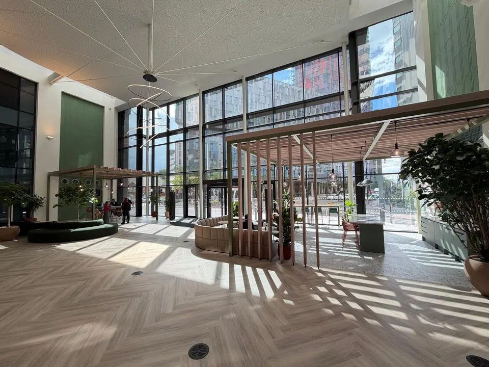 Sunlit ground-floor breakout area with plants and timber pergola